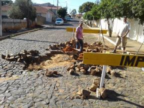 Departamento de obras de Japira realiza conservação na Avenida Cel. Joaquim Pedro de Oliveira