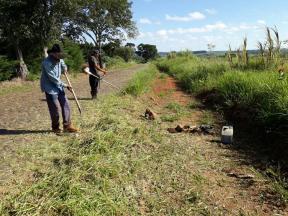 O Departamento de Obras do Município de Japira, está realizando o serviço de roçadas, para conservar as estradas que dão acesso ao bairro do Nhô, dentre outros.