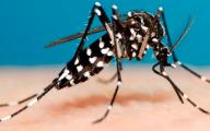   SECRETARIA MUNICIPAL DE  SAÚDE  DE JAPIRA  (SMS) APONTOU UM CRESCIMENTO NO INDICE DE INFESTAÇÃO DE AEDES AEGYPTI NA CIDADE .