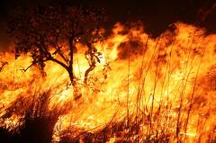 PREFEITURA ALERTA SOBRE INCÊNDIOS PROVOCADOS EM TERRENOS URBANOS E SOLICITA APOIO DA POPULAÇÃO.